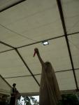 DSCF5484